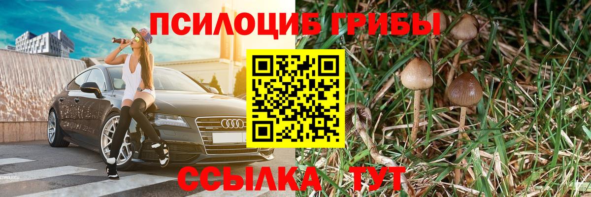 Псилоцибиновые грибы ЛСД Крымск