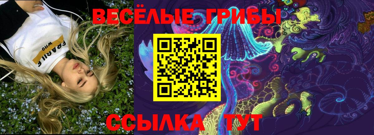 Галлюциногенные грибы прущие грибы  где продают   Крымск  Вход с VPN 